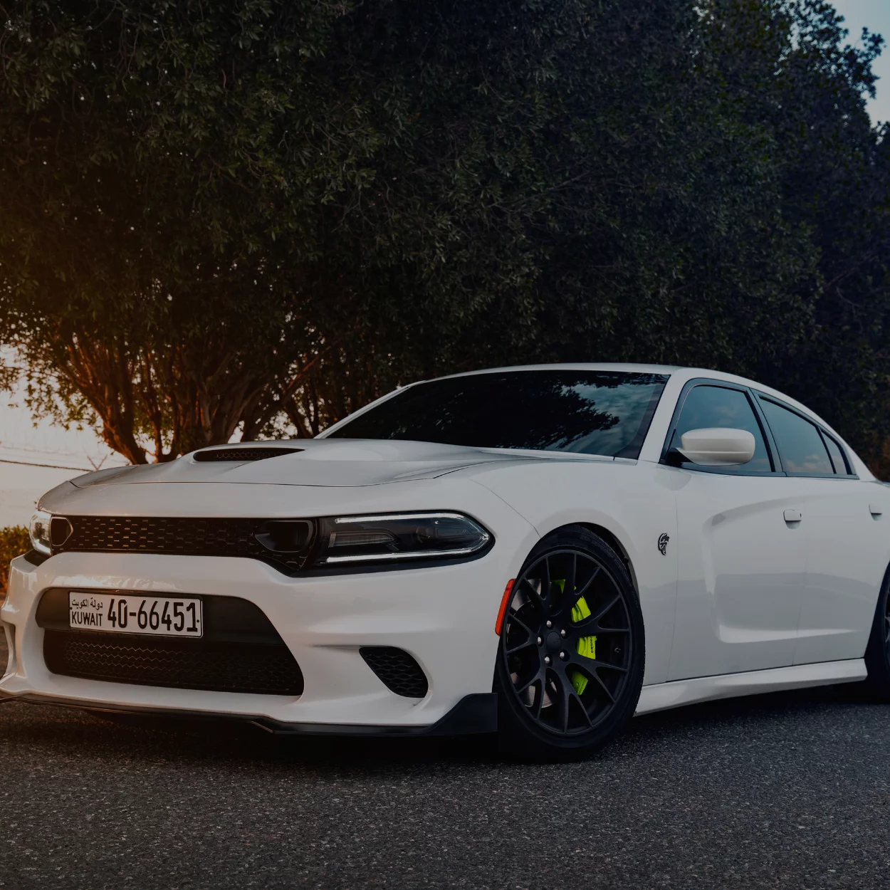 PELÍCULAS PROFISSIONAL E POLIÉSTER